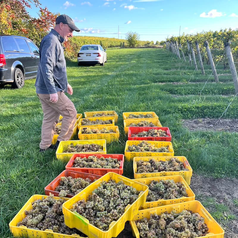 6 Linden Dreihart Winery Gallery